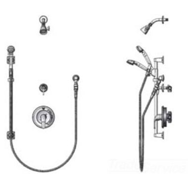 Click here to see T&S Brass B-3306-VB T&S Brass B-3306-VB Pressure-Balancing Shower Package