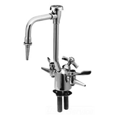 Click here to see T&S Brass BL-6005-03 T&S BRASS BL-6005-03 LAB FIXTURE, GAS & WATER, 2 GAS COCKS, 8