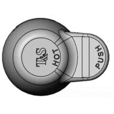 Click here to see T&S Brass PA-H-AM T&S BRASS PA-H-AM PIVOT ACTION HANDLE (HOT) W/ RETAINING NUT AND SPANNER BIT W/