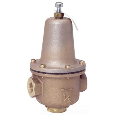 Click here to see Watts  VWPRV2-1/2