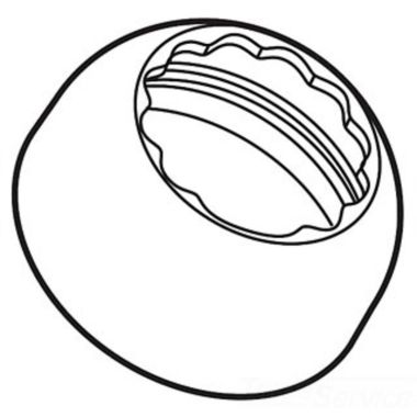 Click here to see Delta RP51502NN Delta RP51502NN Delta Bonnet Cap (Brilliance Pearl Nickel)